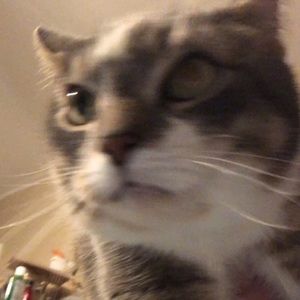 Meet your Posher, Katharine